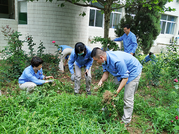 黨員義務勞動.jpg